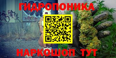 ПСИЛОЦИБИНОВЫЕ ГРИБЫ Славгород